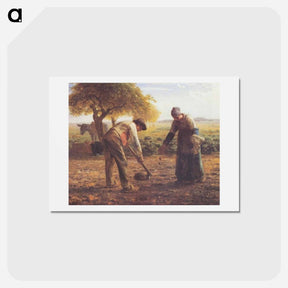 アートポストカード-The potato growers - ジャン フランソワ ミレー Postcard.