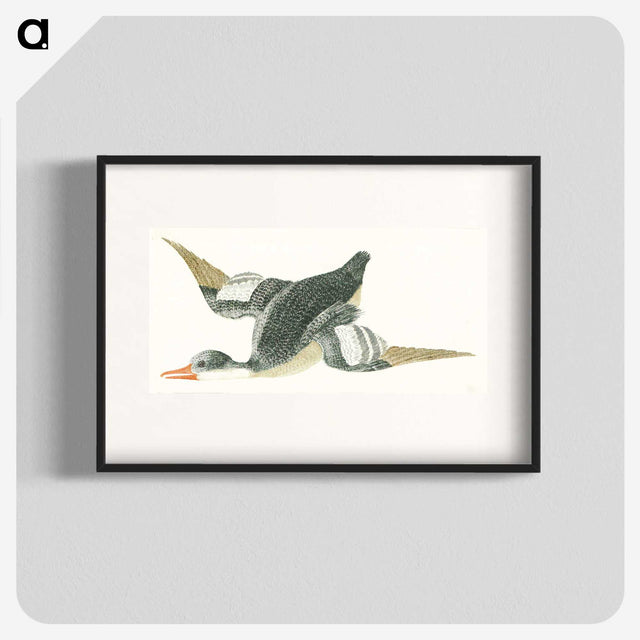 2-17_Johan-Teyler_blk