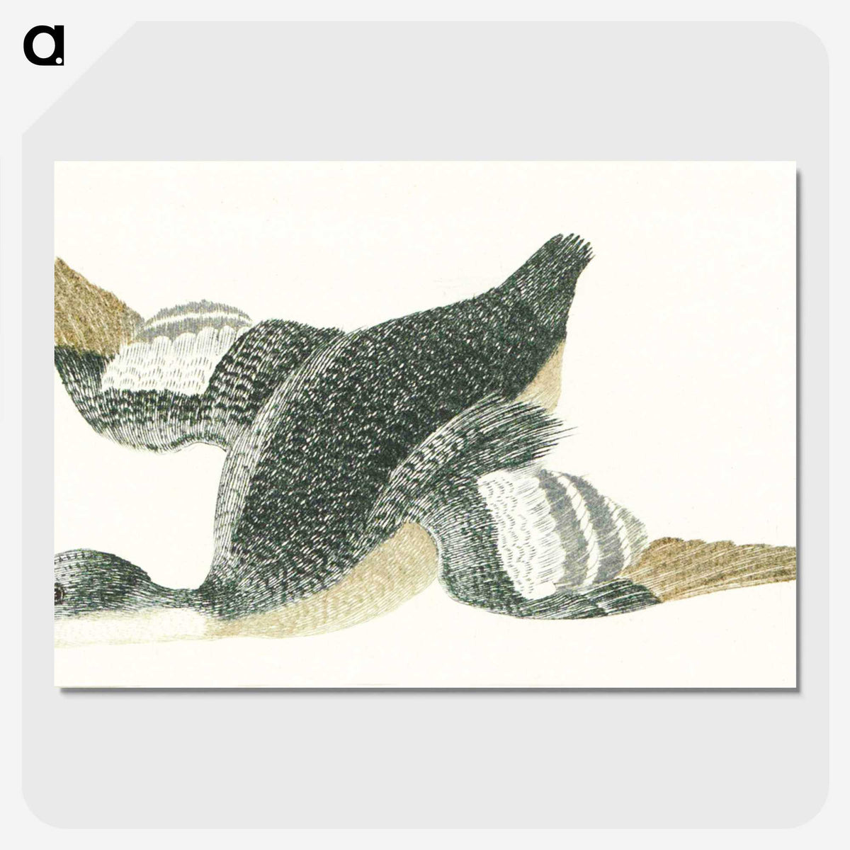 2-17_Johan-Teyler_picture-crop