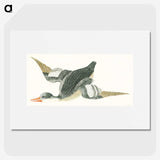 2-17_Johan-Teyler_picture