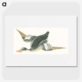 2-17_Johan-Teyler_picture