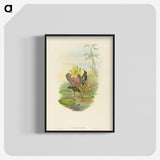 2-17_John-Gould_blk-crop