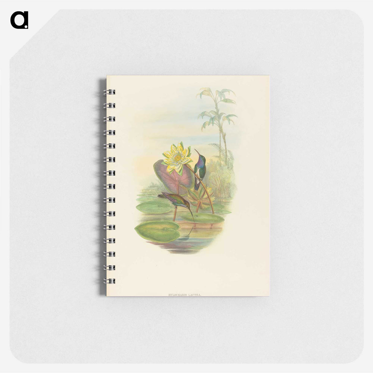 2-17_John-Gould_memo