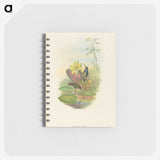 2-17_John-Gould_memo