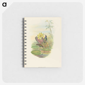 2-17_John-Gould_memo