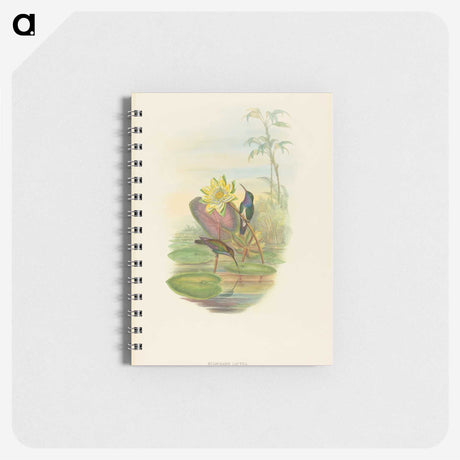2-17_John-Gould_memo