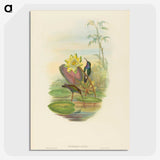 2-17_John-Gould_picture-crop