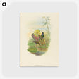 2-17_John-Gould_postcard