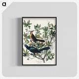 2-17_John-James-Audubon_blk-crop