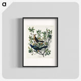 2-17_John-James-Audubon_blk