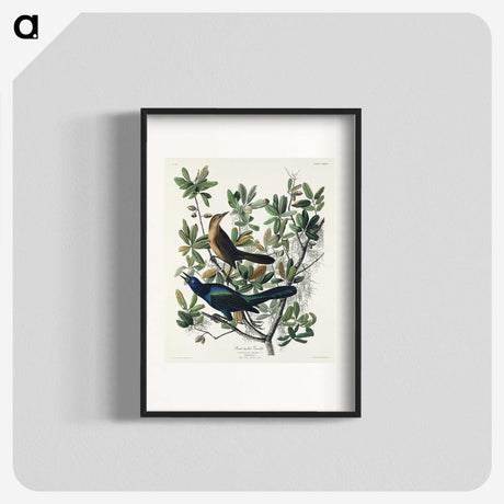 2-17_John-James-Audubon_blk