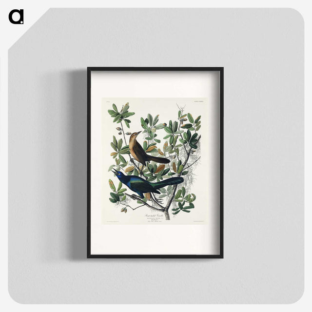 2-17_John-James-Audubon_blk
