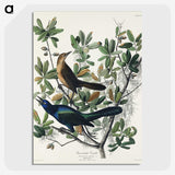 2-17_John-James-Audubon_picture-crop
