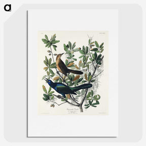 2-17_John-James-Audubon_picture