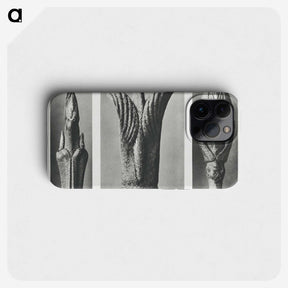 2-17_Karl-Blossfeldt_phone