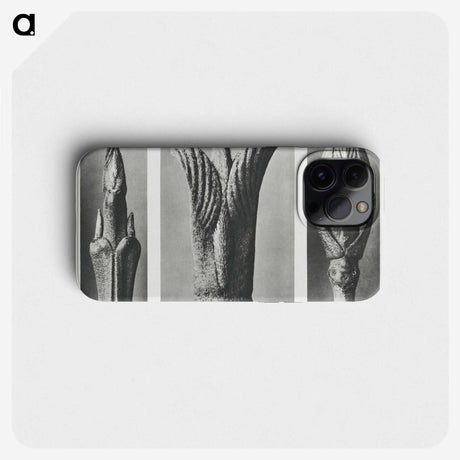 2-17_Karl-Blossfeldt_phone