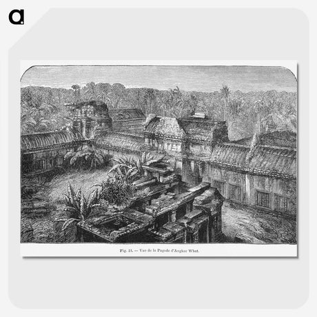 2-17_Les-Palmiers-Histoire-Iconographique_picture-crop