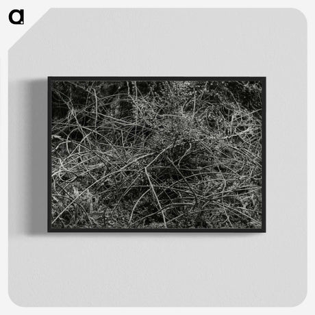 2-17_Leslie-Adkin_blk-crop