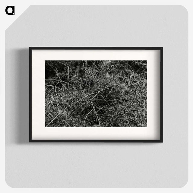 2-17_Leslie-Adkin_blk