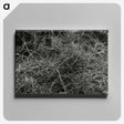 2-17_Leslie-Adkin_canvas