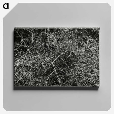 2-17_Leslie-Adkin_canvas