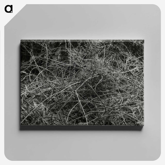 2-17_Leslie-Adkin_canvas