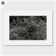 2-17_Leslie-Adkin_picture