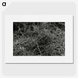 2-17_Leslie-Adkin_picture