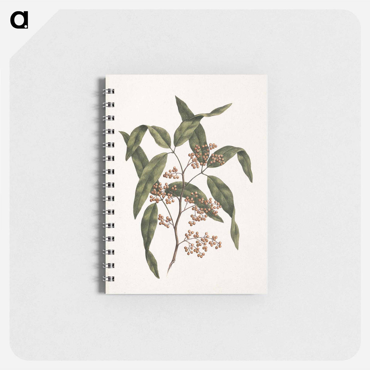 Plant Branch
 - Luigi Balgani Memo.