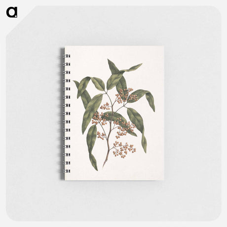 アートメモ帳-Plant Branch
 - ルイージ バルガーニ Memo.