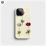 2-17_Maria-Sibylla-Merian_phone