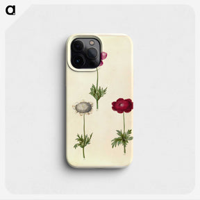 2-17_Maria-Sibylla-Merian_phone
