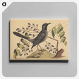 アートパネル-The Red Legged Thrush
 - マーク ケイツビー Canvas.