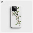 2-17_Mary-Vaux-Walcott_phone
