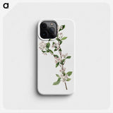 2-17_Mary-Vaux-Walcott_phone