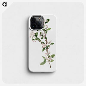 2-17_Mary-Vaux-Walcott_phone