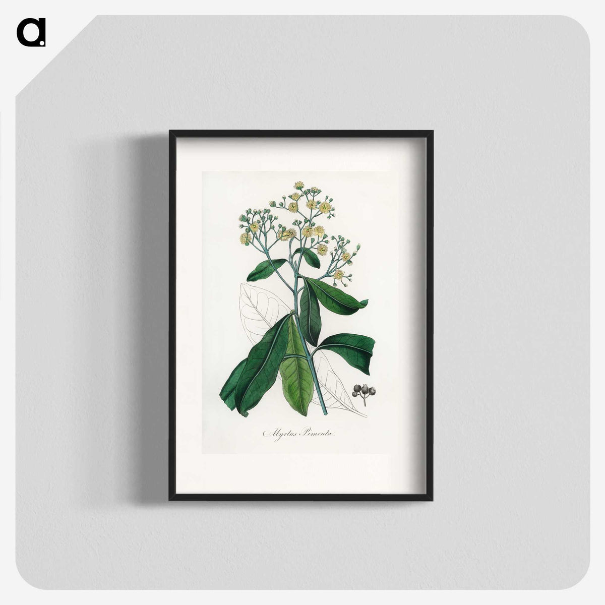 2-17_Medical-Botany_blk