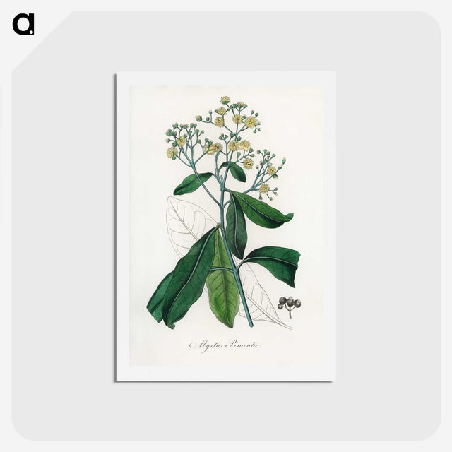 2-17_Medical-Botany_hagaki