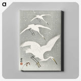2-17_Ohara-Koson_canvas