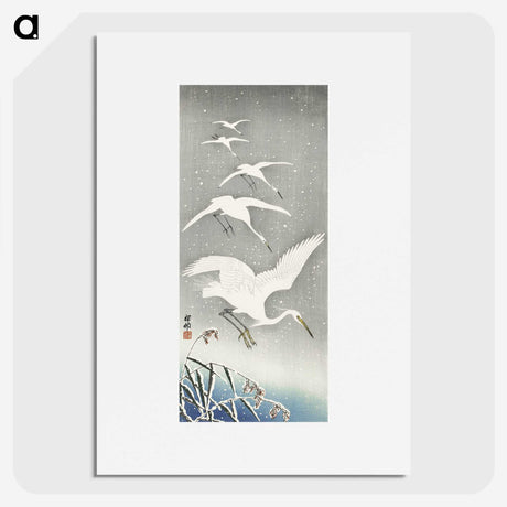 2-17_Ohara-Koson_picture