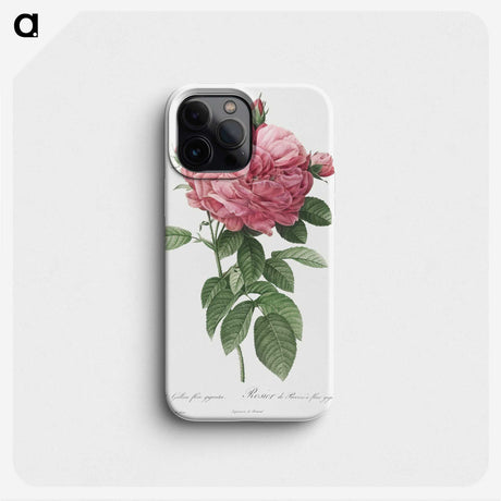 2-17_Pierre-Joseph-Redoute_phone