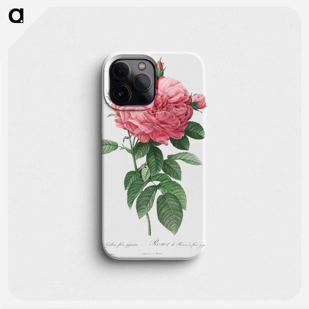 Giant French rose bloom - Pierre Joseph Redouté Phone Case.