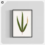 2-17_Plants-with-Colored-Foliage_blk-crop