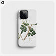 2-17_Pomona-Italiana_phone