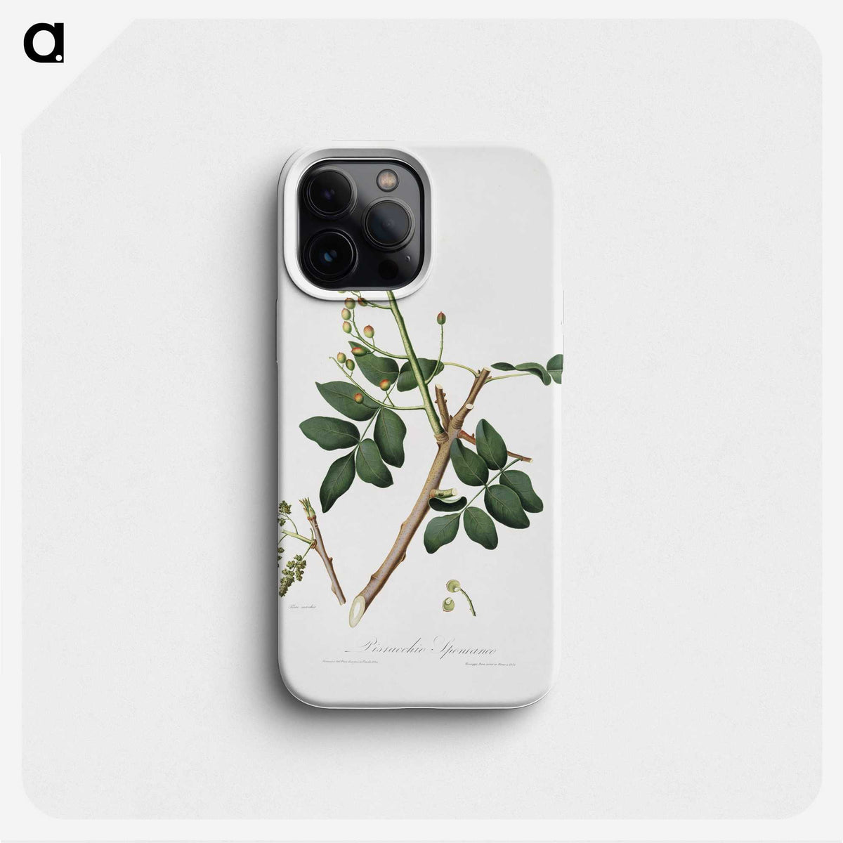 2-17_Pomona-Italiana_phone