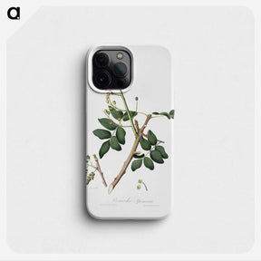 2-17_Pomona-Italiana_phone