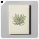 2-17_Robert-Jacob-Gordon_canvas