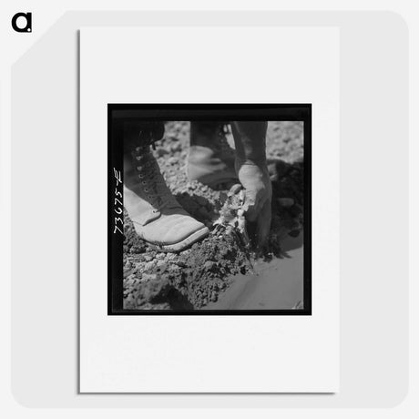 2-17_Russell-Lee_picture