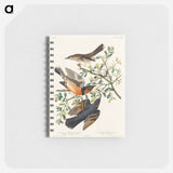 アートメモ帳-Mountain Mocking bird and Varied Thrush from Birds of America
 - アメリカの鳥たち Memo.