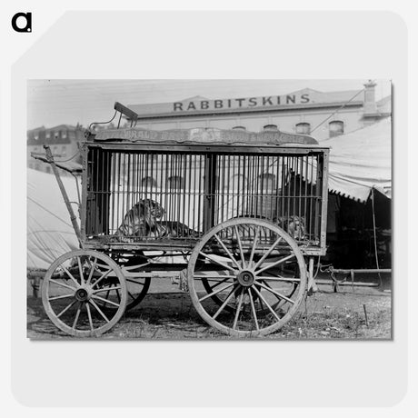 2-17_The-Burton-Brothers_picture-crop